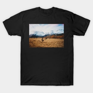 New Zealand winter landscape T-Shirt